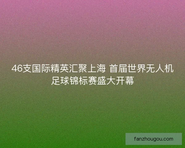 46支国际精英汇聚上海 首届世界无人机足球锦标赛盛大开幕