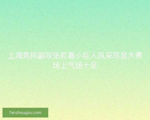 上海男排副攻张哲嘉小巨人风采尽显大赛场上气场十足